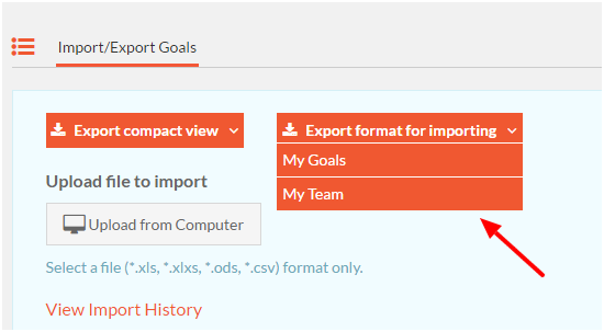 export template