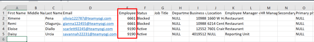 Duplicate employee id import