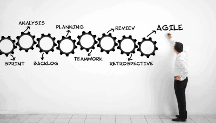 The Ultimate Guide to Agile Performance Management Process