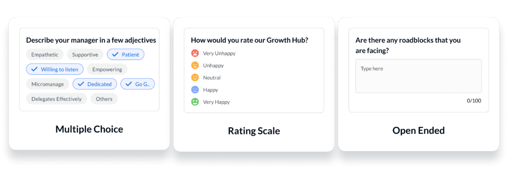 Team Pulse Questionnaire