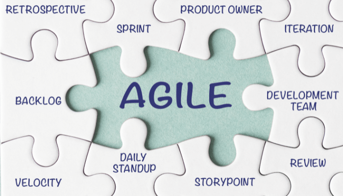 Agile Performance Management