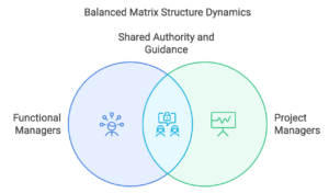 Matrix Organizational Structure: Meaning, Types, Examples & Benefits
