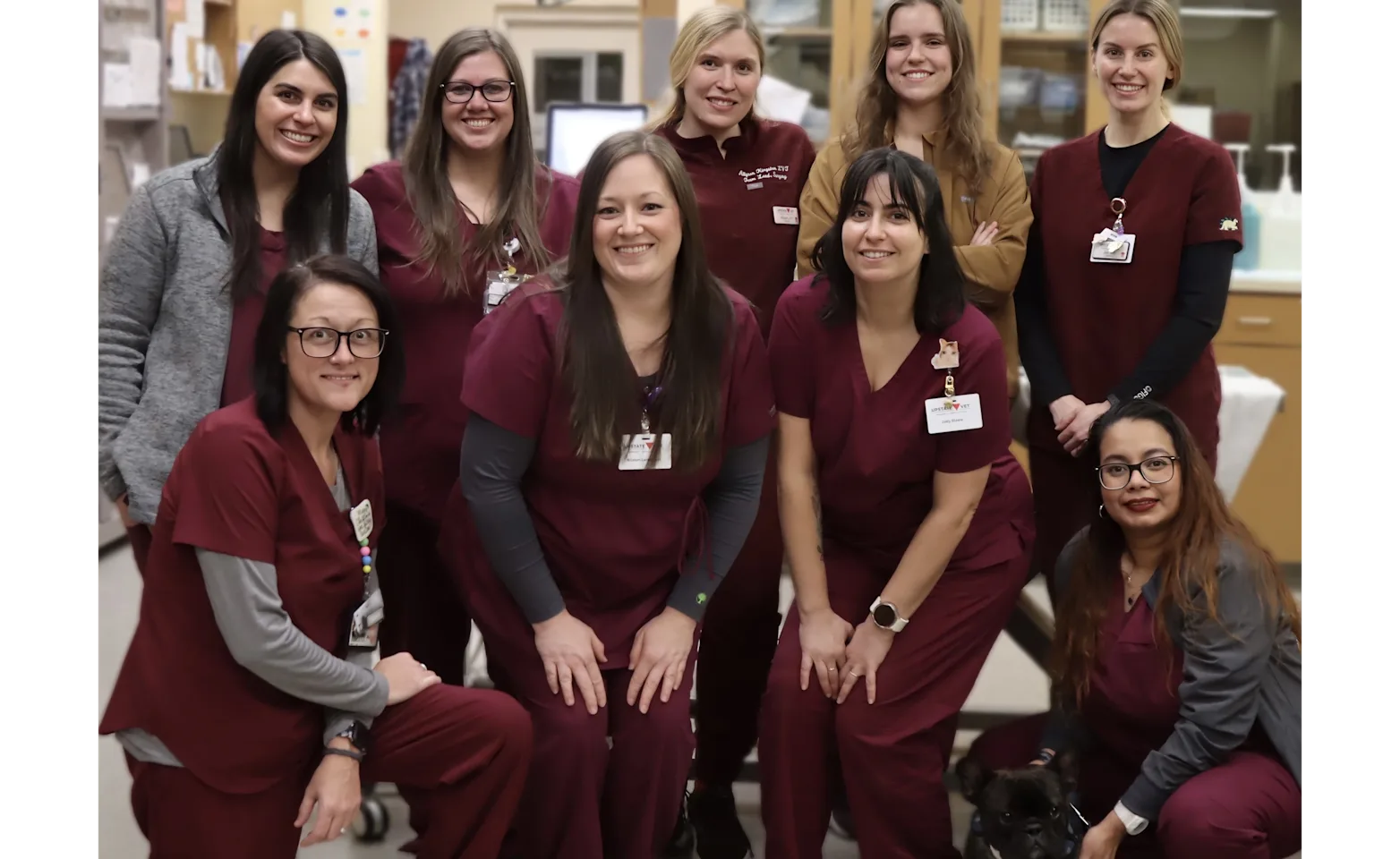 upstate-vet employees